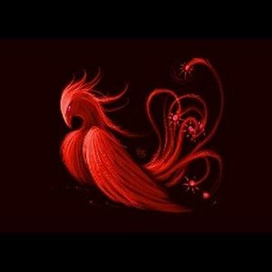 Meet your Posher, Leonel